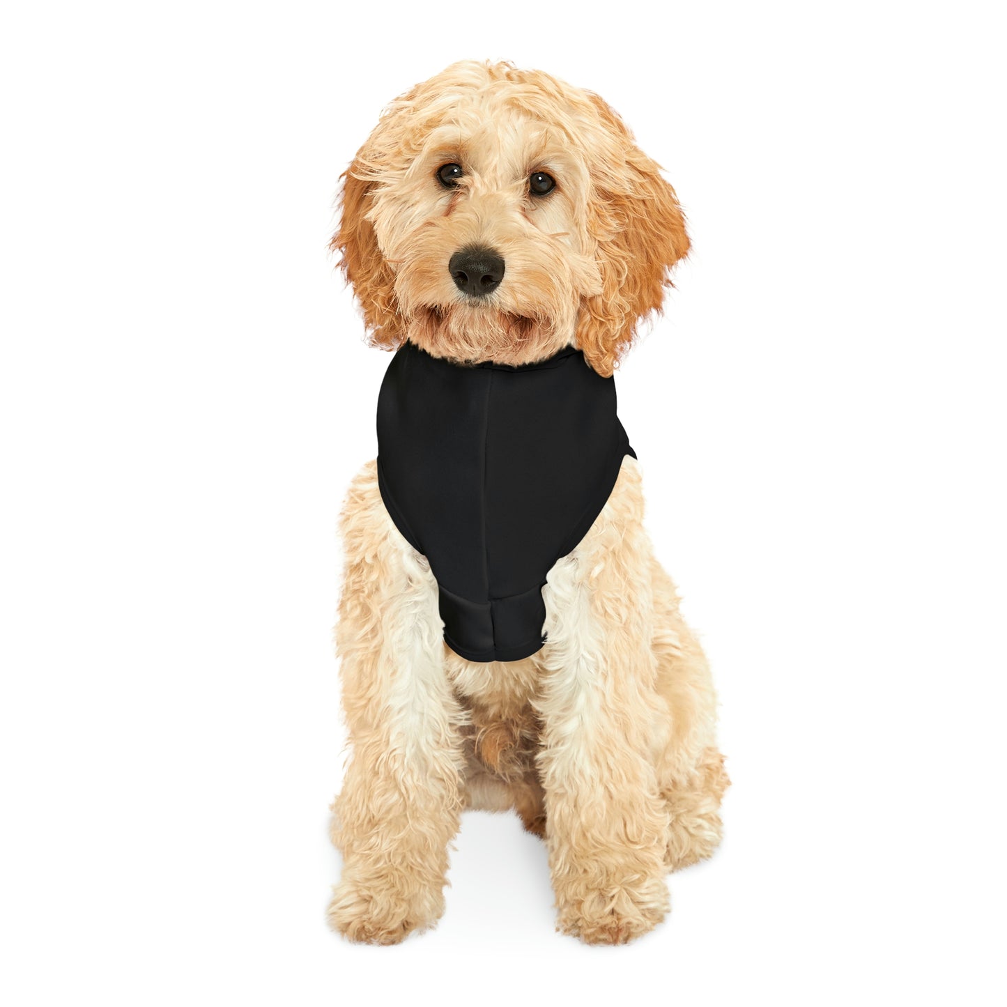 Sindradotter Dog Hoodie