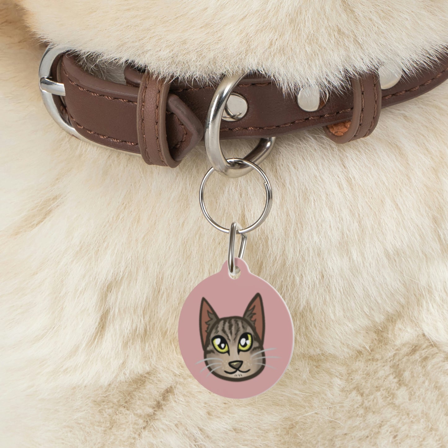 Pet Tag